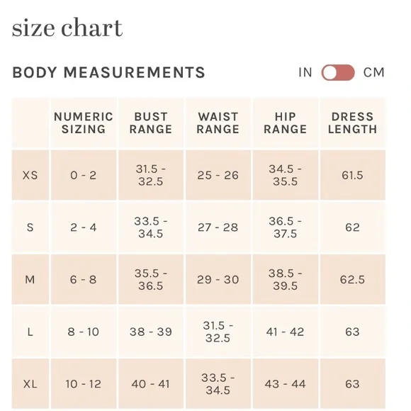 NWT Birdy Grey Chris Convertible Chiffon Dress in Rosewood XS - Picture 11 of 11